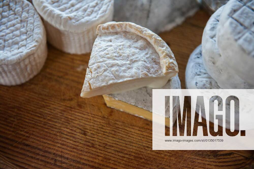 Set of different cheese, 11.10.2020,