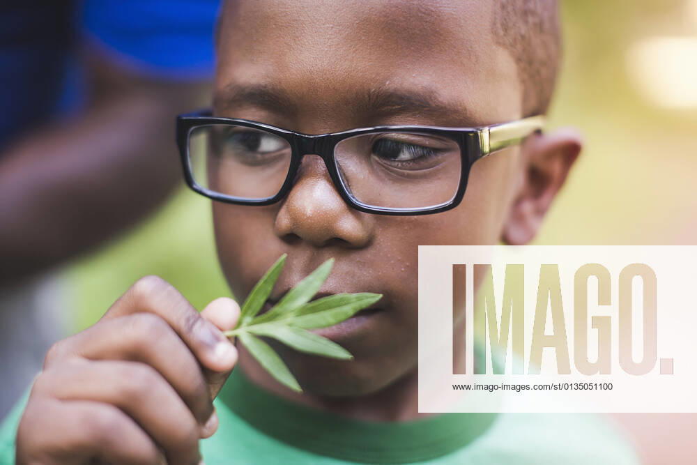 IMAGO Creative: Klimawandel - Umwelterziehung Boy smelling plant in parkland eco camp, 01.09.2014,