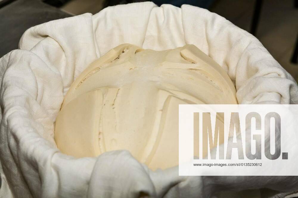 Yeast mother wrapped in a cloth, 12.10.2020,