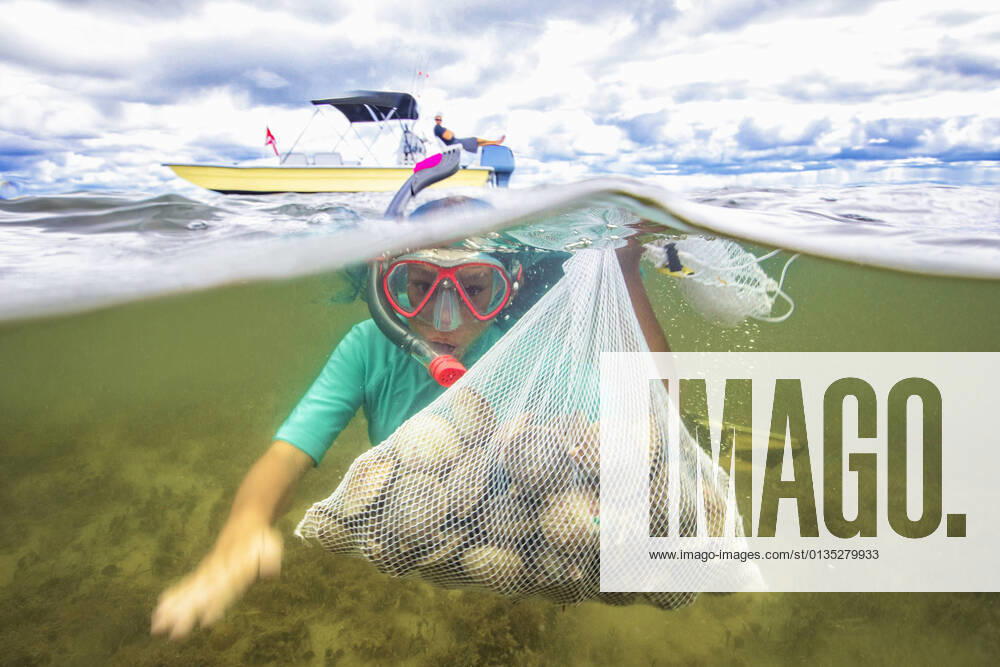 IMAGO Creative: Klimawandel - Umwelterziehung Girl collecting scallops in grass meadow underwater, 26.09.2017,