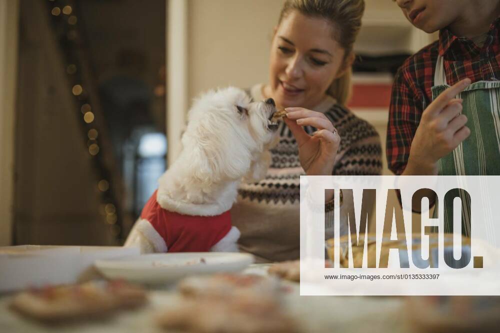 Getting A Christmas Treat model released, Symbolfotoproperty released, , 12.10.2020,