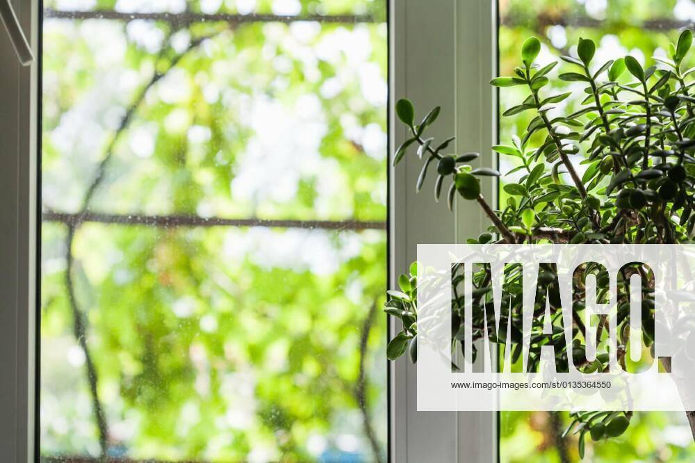 Window of country house in summer, 12.10.2020,