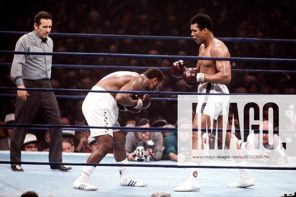 Muhammad Ali (re.) gegen Joe Frazier (beide USA) - PUBLICATION ONLY FOR GERMAN; SWISS; AUSTRIAN AND HUNGARIAN MEDIA (Icon5980046) Boxen Herren Boxsport 1974, Profiboxen, Schwergewicht Gruppe New York