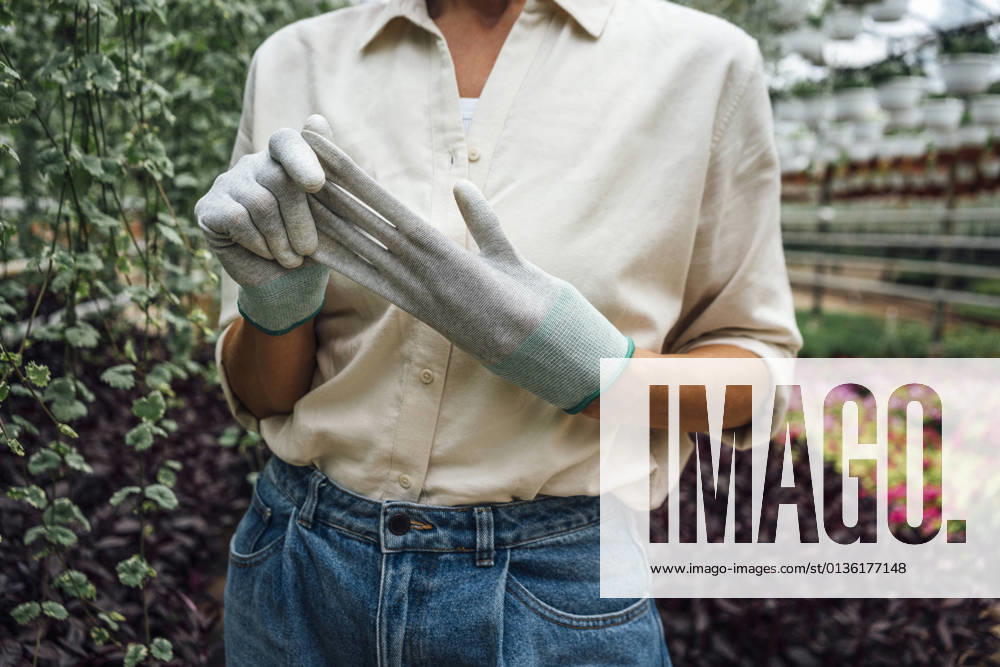 IMAGO Creative, Frühling, Start der Garten-Saison IMAGO Creative: Klimawandel - Zukunft und Innovation Female agriculture worker removing protective glove while standing in plant nursery model released Symbolfoto property released VPIF04702