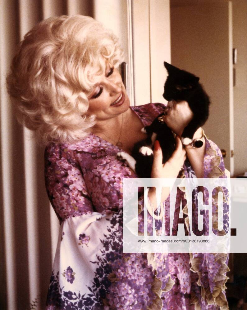 Photograph of Dolly Parton admiring photographer s kitten named after her in 1978. Nancy Barr MediaPunch