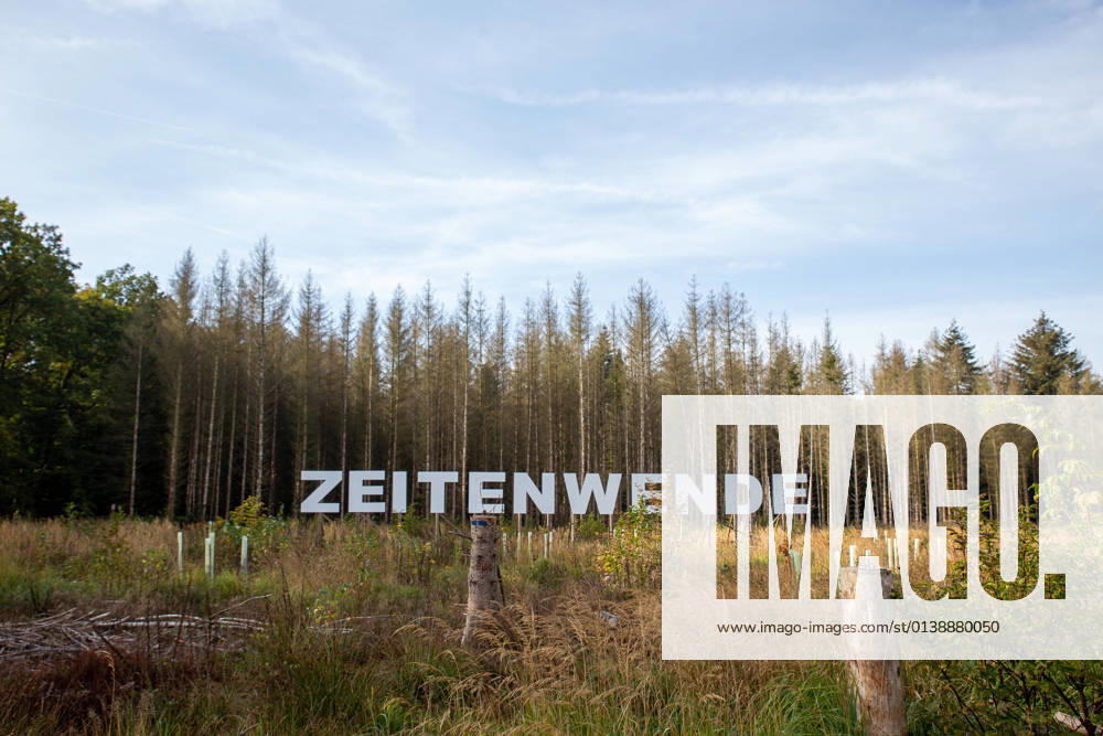 Bonn, art project wald anders denken in Kottenforst 18 10 2021 Bonn, Kottenforst The project wald anders denken is intended to provide visitors with new aspects of the forest, its sustainable management and global significance for the world climate Photo Huge lettering Zeitenwende In the background dead spruces can be seen Bonn Bad Godesberg Nordrhein West