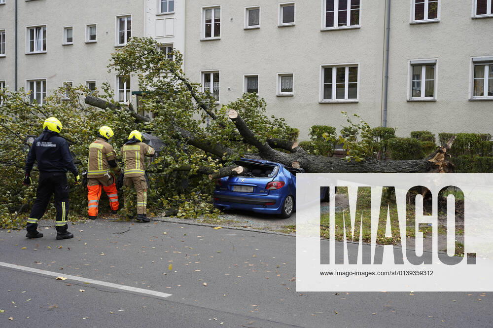 In the Eichbuschallee in Treptow Köpenick, a tree has fallen on a parked car due to storm Ignatz The Berlin Fire Department removes the tree Berlin, 21 10 2021 Foto:xT.xBartillax xFuturexImage