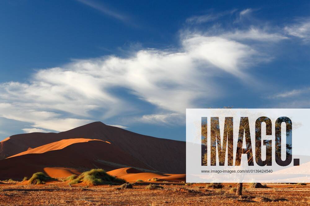 Sand dune, Sossusvlei, Namib Naukluft Park, Namibia, Africa