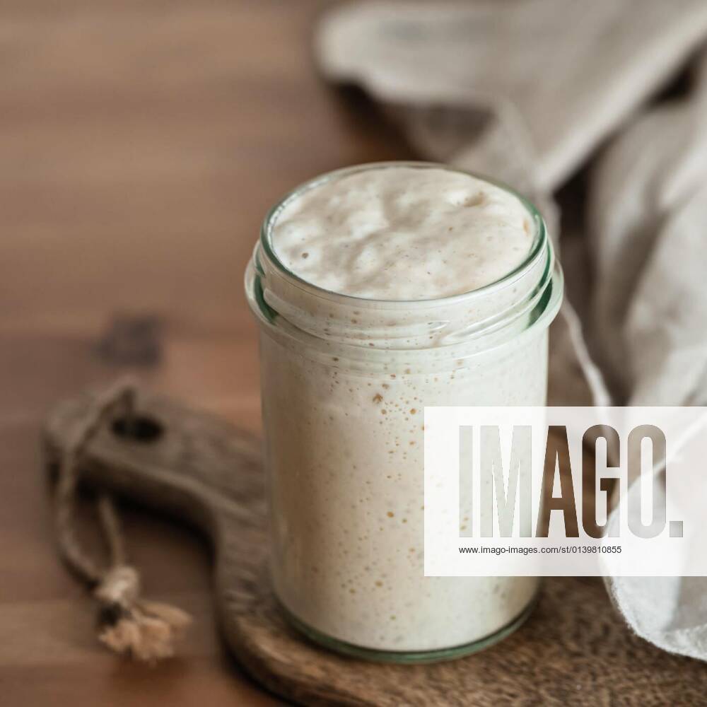 Wheat sourdough starter, copy space, 14.10.2020,