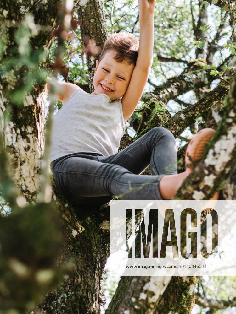 From below full body of positive risky boy sitting on tree branches while having fun in nature on summer day, Model released HodeiUnzueta_FamilyBBQ_36.jpg
