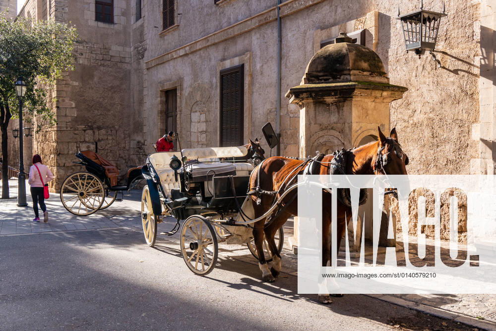 Europe, Spain, Island, Mallorca, horse carriage in Palma de Mallorca McPBOY McPBOY