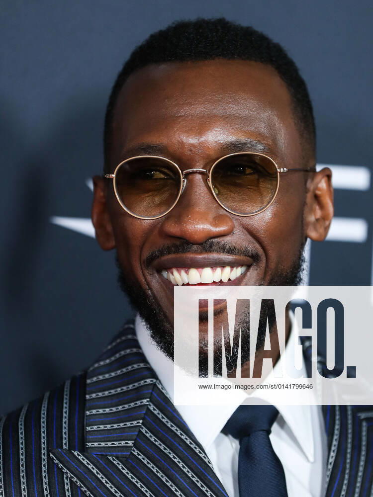 2021 AFI Fest - World Premiere of Apple Original Films Swan Song Actor Mahershala Ali arrives at the 2021 AFI Fest - World Premiere of Apple Original Films Swan Song held at the TCL Chinese Theatre IMAX on November 12, 2021 in Hollywood, Los Angeles, California, United States. Hollywood California United States