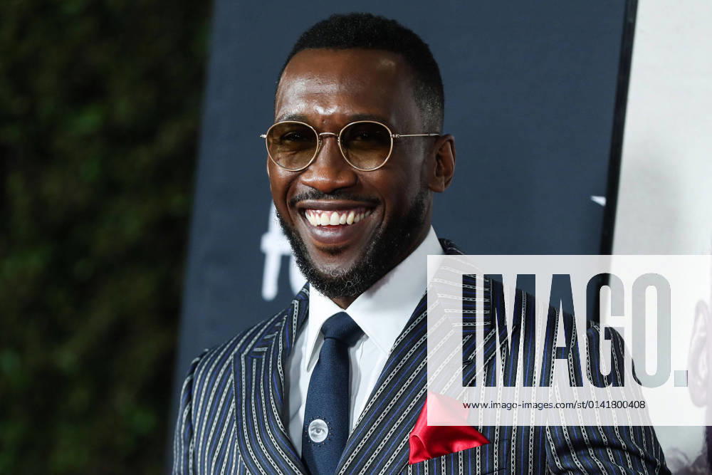 2021 AFI Fest - World Premiere of Apple Original Films Swan Song Actor Mahershala Ali arrives at the 2021 AFI Fest - World Premiere of Apple Original Films Swan Song held at the TCL Chinese Theatre IMAX on November 12, 2021 in Hollywood, Los Angeles, California, United States. Hollywood California United States