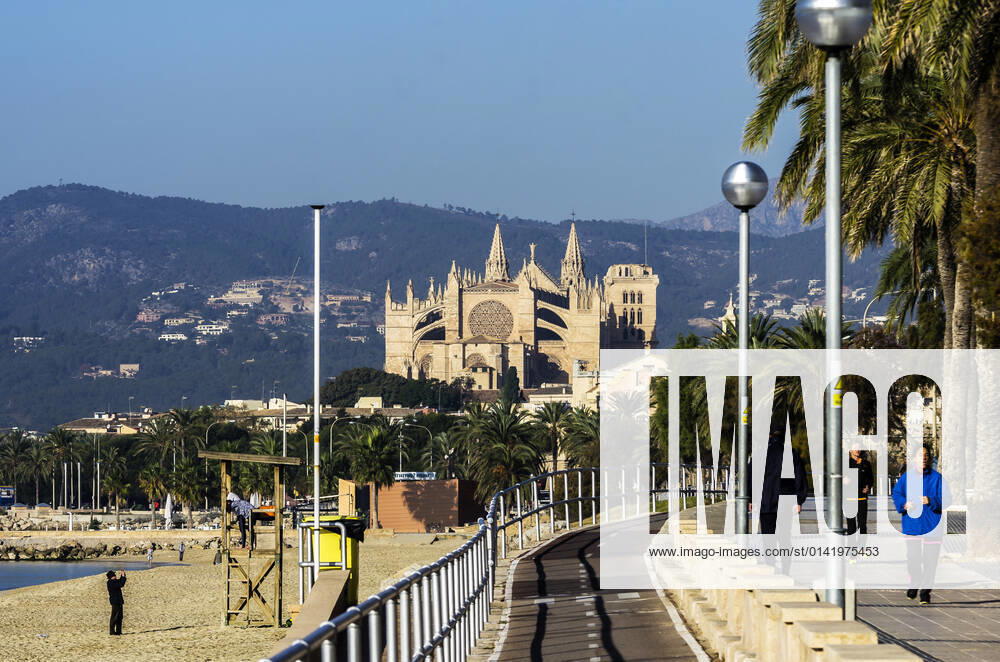 Spain, Balearic Islands, Mallorca, Palma de Mallorca, La Seu Cathedral and beach, THA001545
