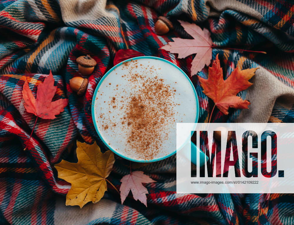 Overhead of pumpkin spice latte on plaid fall scarf with leaves. Kingston, Ontario, Canada CR_DOHO211117H-859937-01