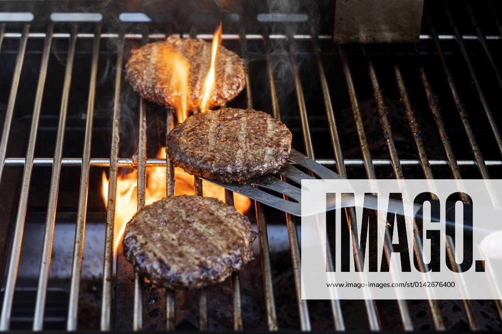 Food, Fast Food, Burger Burgers cooking on barbecue grill model released, CHPF00799