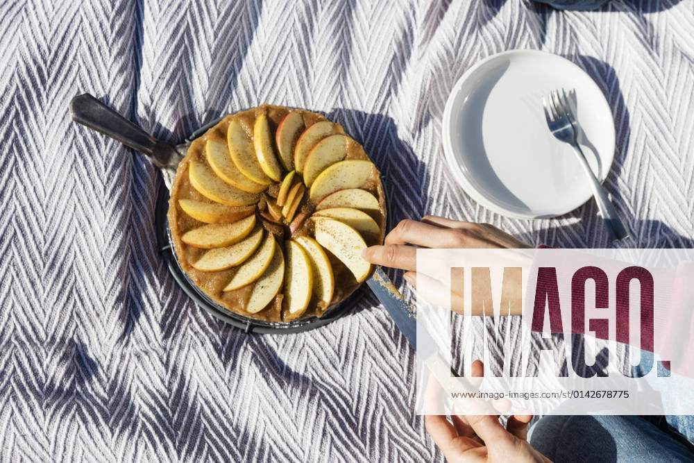 IMAGO Creative, Herbst, Food, Apfelkuchen Hands of woman cutting freshly baked apple pie on picnic blanket model released, EVGF03912
