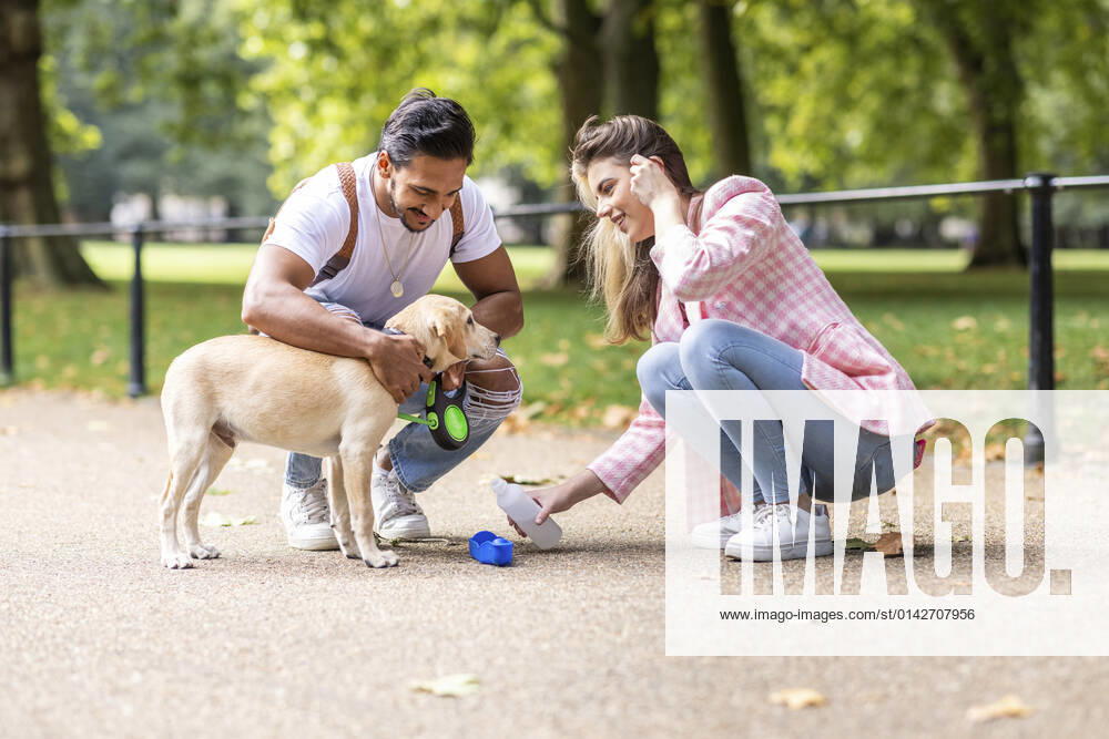 Smiling woman giving water to dog by boyfriend in park model released property released, WPEF05343