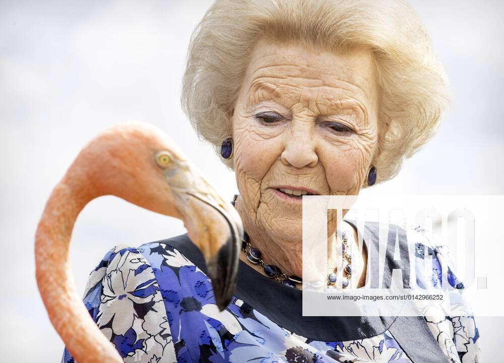 SINT MICHIEL On the second day of a three day working visit to Curacao, Princess Beatrix, together with students from the St Margaretha school, visits the salt pans, where a flamingo Oscar is being worked out The working visit was mainly devoted to nature conservation and the effects of the corona pandemic ANP ROYAL IMAGES KOEN VAN WEEL
