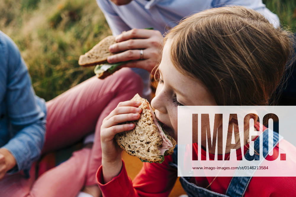 Girl eating sandwich with parents at park model released, ASGF01671
