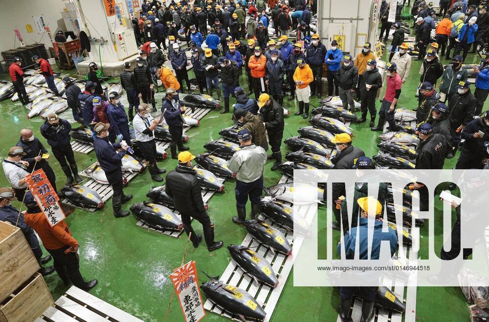 Japan, Neujahrs-Tunfisch-Auktion in Tokio New Year tuna auction in Tokyo The year s first auction for tuna is held at Tokyo s Toyosu market on Jan. 5, 2022. A14AA0001175375P