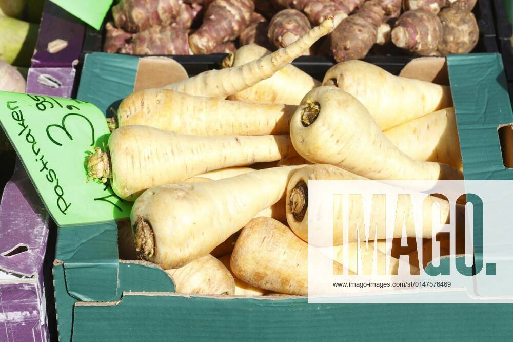 Pastinak (parsniva sativa),parsnip,parsnips,tuber vegetables, 12.10.2020,