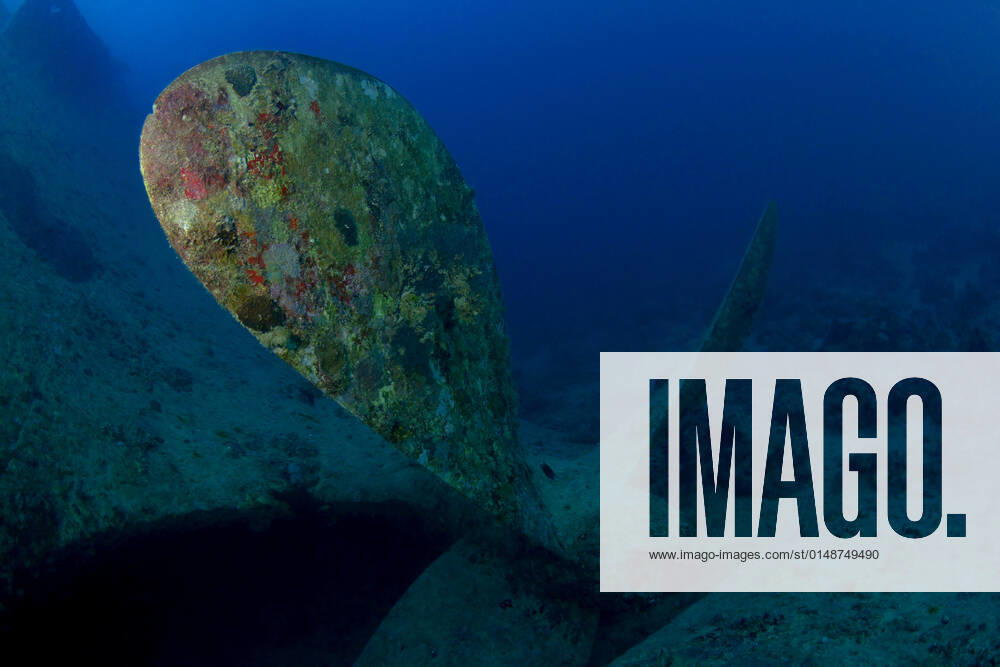 Old damaged sunken ship and on sandy bottom of blue Red Sea with reef fish ArturoVigil_RedSea_67.jpg
