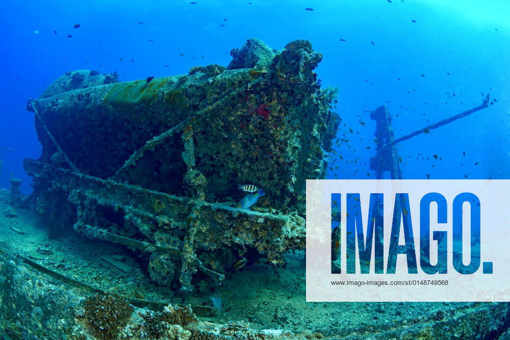 Old damaged sunken ship and on sandy bottom of blue Red Sea with reef fish ArturoVigil_RedSea_75.jpg