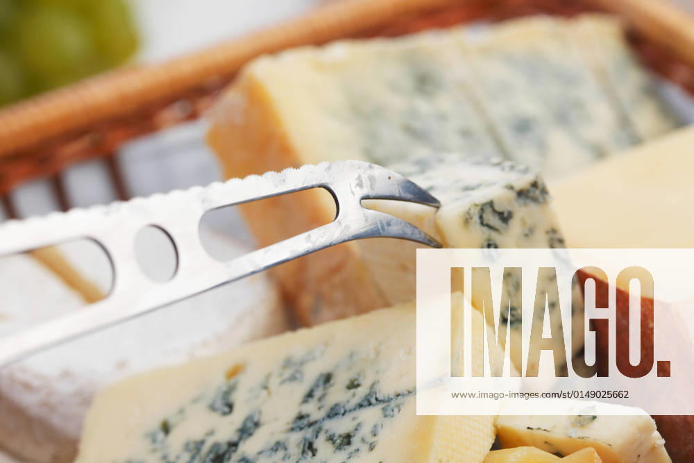 Various types of cheese close