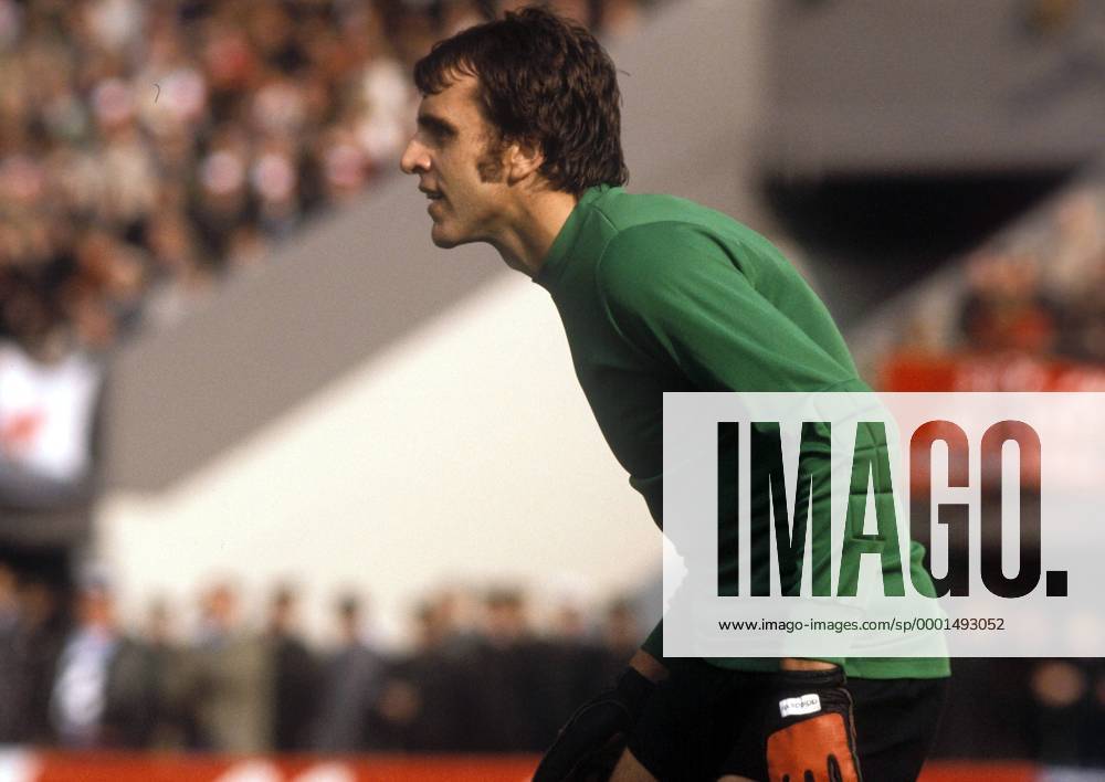 Torwart Jürgen Croy (DDR) Fußball Länderspiel Herren Weltmeisterschaftsqualifikation 1977, Nationalmannschaft, Nationalteam, Nationaltrikot, Länderspiel Einzelbild Qualifikation Wien