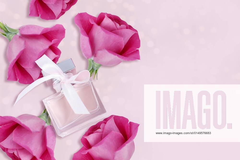 Bottle of parfum and rose flowers on pink background, copy space. BEW1DB2A446