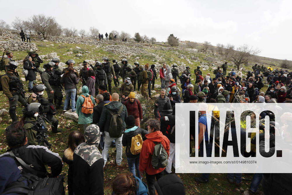 Nablus, West Bank, Palestinian Territory: Israeli soldiers prevent Palestinians and foreign activists plant olive trees near Bracha settlement in Burin village, near the West Bank city of Nablus on February 3, 2022 Nablus Palestinian Territory - ZUMAap3_ 20220204_zaf_ap3_073