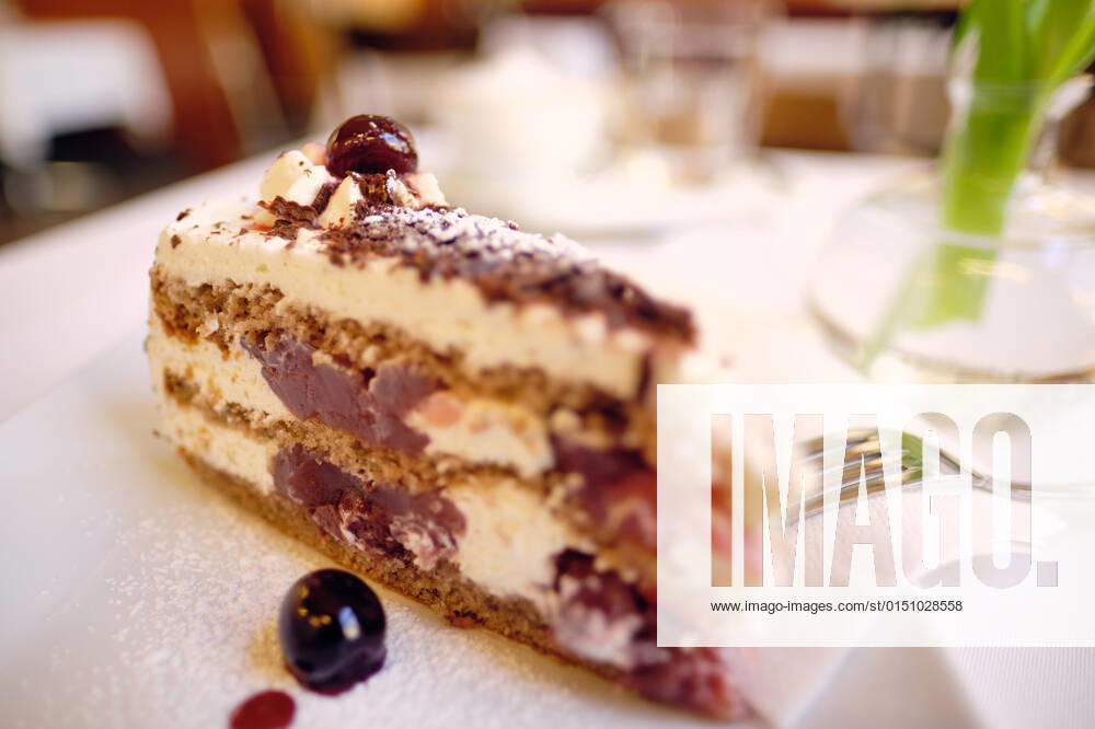 IMAGO Creative, Jahreszeit Sommer, Kirschen WIen, Austria - February 10, 2022; Cafe Maria Treu; ein Stück Schwarzwälder Kirschtorte auf dem Tisch stehend. WIen Wien Austria