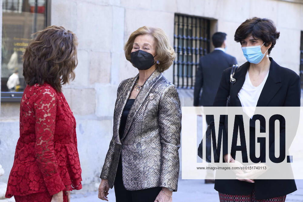 Madrid Queen Sofia at the Ibero-American patronage awards of the Callia foundation in Madrid. No Spain Â