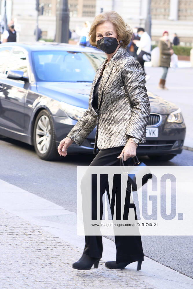 Madrid Queen Sofia at the Ibero-American patronage awards of the Callia foundation in Madrid. No Spain Â
