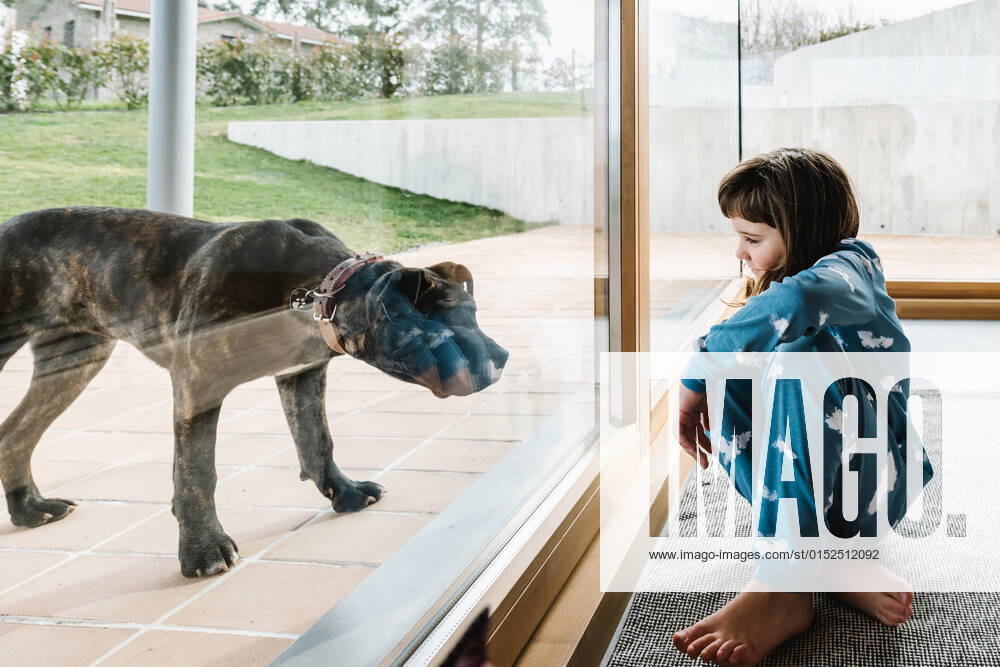 Side view of girl in pajama playing with cute black American Pit Bull Terrier while sitting near glass doorway in countryside with green lawn, Model released HodeiUnzueta_FraternalTwinsInPyjamasII_13.jpg