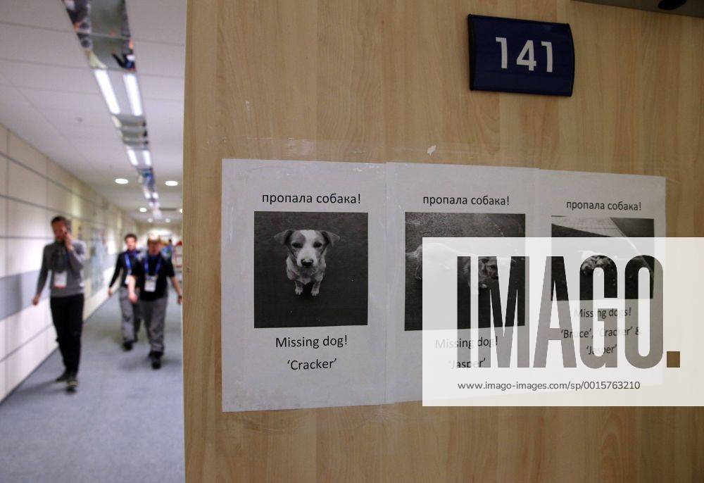 Feb. 17, 2014 - Sochi, RUS - Missing dog signs hang inside the Laura Cross-Country Ski and Biathlon Center at the Winter Olympics in Sochi, Russia, Monday, Feb. 17, 2014. Men s 15K Mass Start Biathlon - ZUMAm67