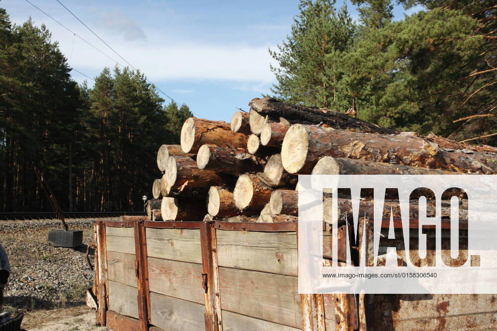 IMAGO Creative: Business, Inflation und Lieferketten Loading logs of trees in the forest, background , 2308539.jpg, abstract, background, bark, branches, brown, cargo, cut, energy, firewood, forest, forestry, fuel, heap, heavy, industrial, industry, load, log, logging, logs, lumber, machine, material, materials, natural, nature, old, pieces, pile, pine, raw, renewable, resource, saw, split, stack, stacked, texture, timber, traditional, transport, transportation, tree, trees, truck, trunk, wood, wooden, woodpile, work,