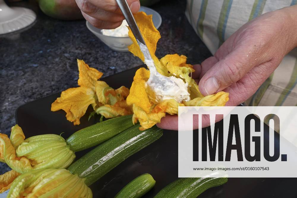 Süddeutsche Kitchen, Preparation filled zucchini flowers, Zucchini flowers with Cream cheese fill, Teaspoon, vegetarian, Healthy Kitchen, Cook, Vegetables, man hands, Germany, Europe