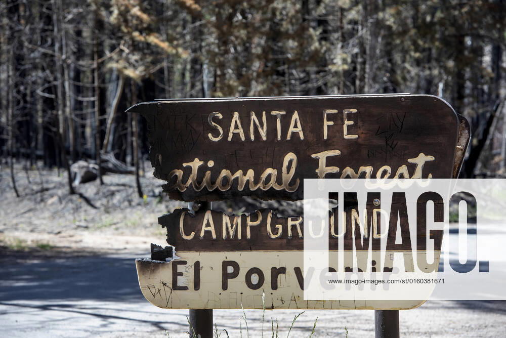 The El Porvenir Campground in the Santa Fe National Forest is burned by the Calf Canyon Hermits Peak Fire. The campground is in Gallinas Cayon. Crews have gained 50% containment on the Hermits Peak Fire. San Miguel County USA - ZUMAab1_ 20220531_zaf_ab1_005