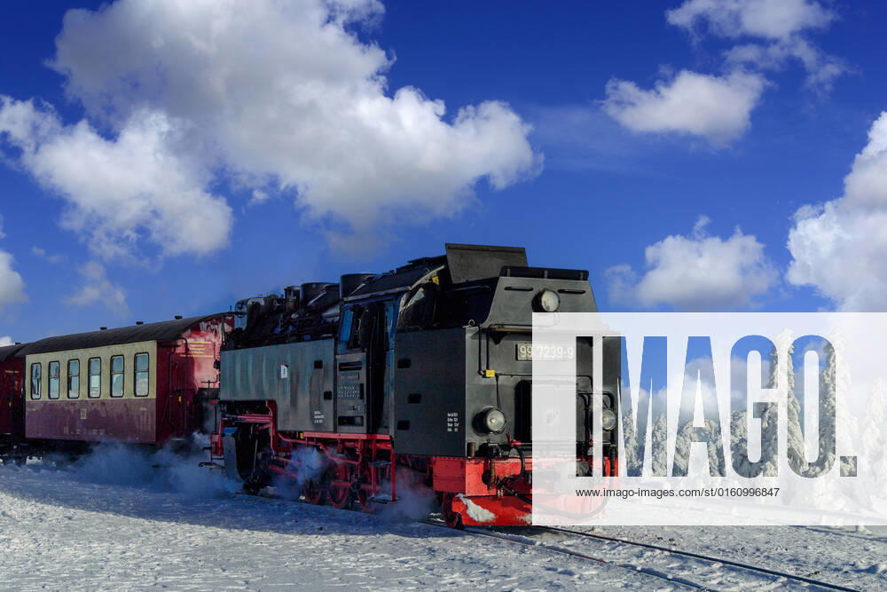 Harzer narrow gauge railway, HSB Rail, Winter, Resin, chunk, McPKST McPKST