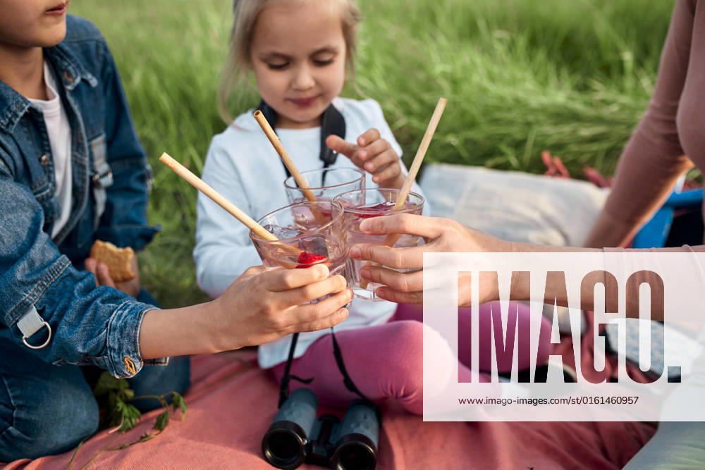 Mother and children toasting infused water glasses on picnic in field model released, Symbolfoto, ZEDF04566