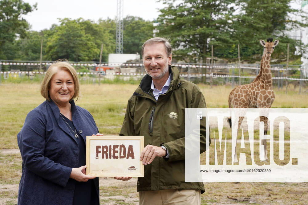 Sabine Pentrop and zoo director Andreas Knieriem at the christening of the youngest giraffe offspring with the name Frieda The little giraffe was born on 21 June 2022 in the Tierpark Berlin Berlin, 08 07 2022 Foto:xT.xBartillax xFuturexImage
