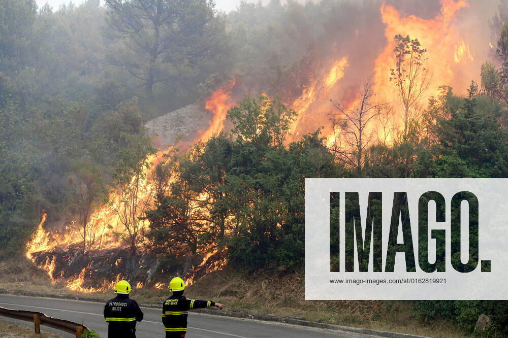 PXL_Zaton fire by the road Fire in an open area near the Zaton site in the Vodice hinterland, Croatia on July 13, 2022. About 30 firefighters with a dozen vehicles are on the ground, and two Canadairs joined the ground forces in extinguishing the fire. There are pine forests above, low vegetation, and endangered buildings. HrvojexJelavic PIXSELL