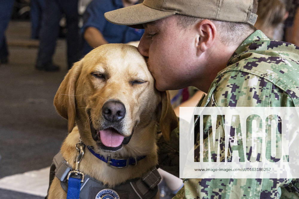 Norfolk, Virginia, USA - A Sailor kisses a dog, brought on by Mutts With a Mission, aboard the Nimitz-class aircraft carrier USS George H.W. Bush (CVN 77), July 13, 2022. The George H.W. Bush Carrier Strike Group is an integrated combat weapons system that delivers superior combat capability to deter, and if necessary, defeat America s adversaries in support of national security. Norfolk USA - ZUMAz03_ 20220713_stw_z03_481