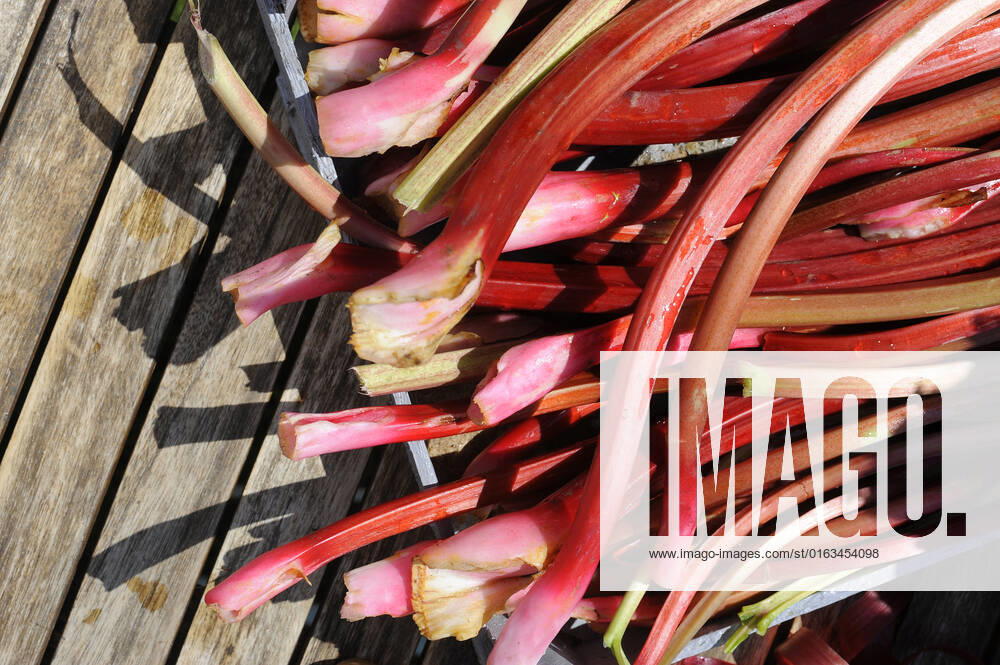Heap of freshly peeled rhubarb stalks, GISF00873