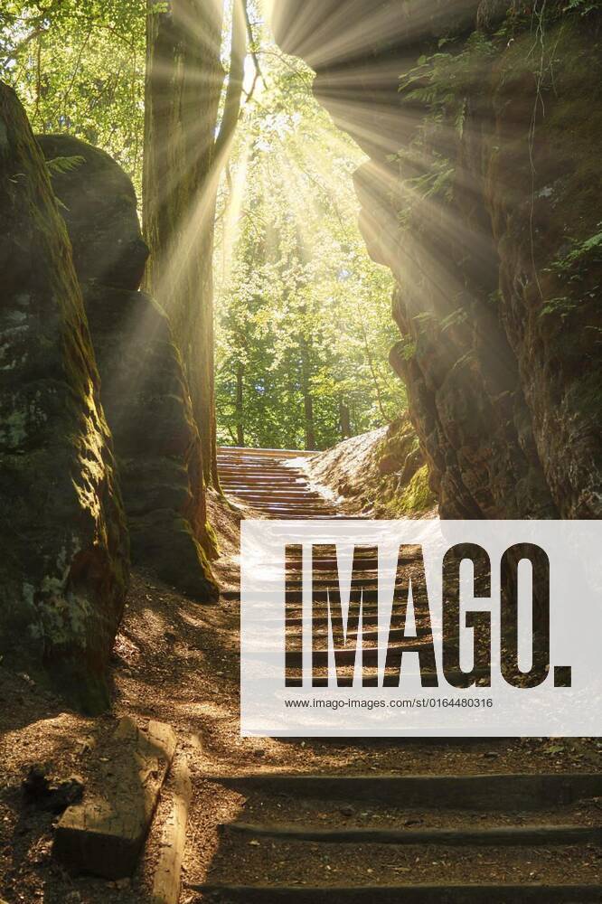 IMAGO Creative: Sommer, In den Bergen Saxon Switzerland, As Saxon Switzerland, the German part of the Elbe Sandstone Mountains in Saxony is called., As Saxon Switzerland, the German part of the Elbe Sandstone Mountains in Saxony is called., 02.05.2020,