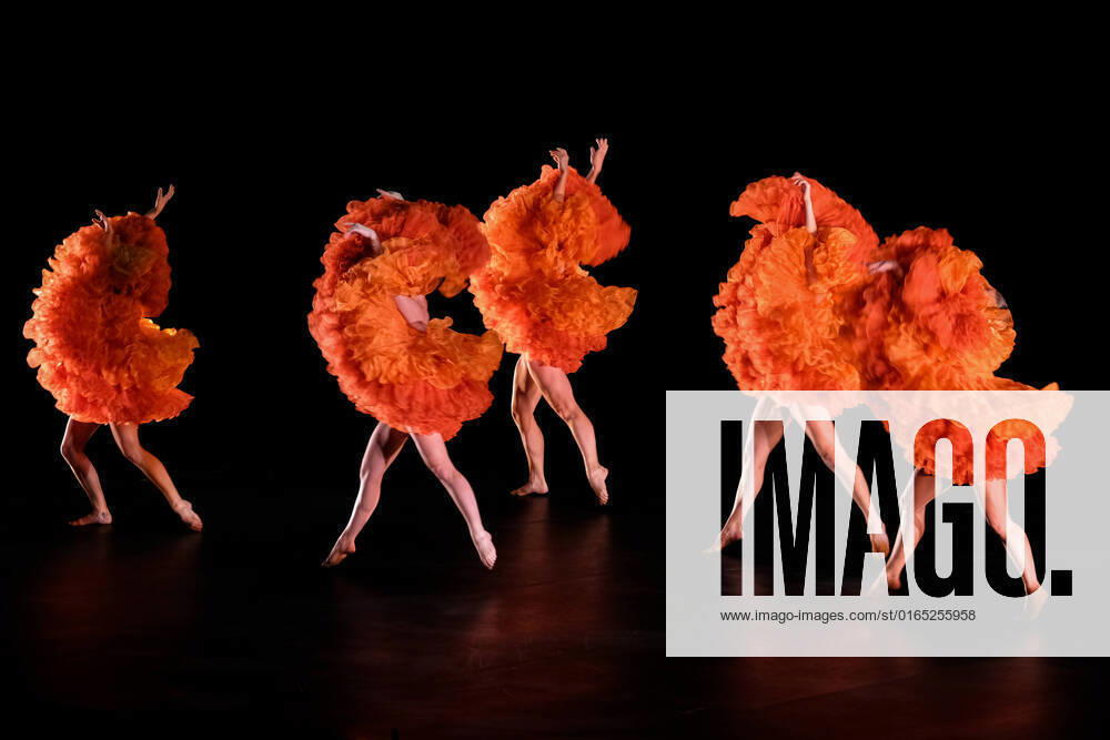 Momix during MOMIX - Back to Momix, Theater in Verona, Italy, August 11 2022