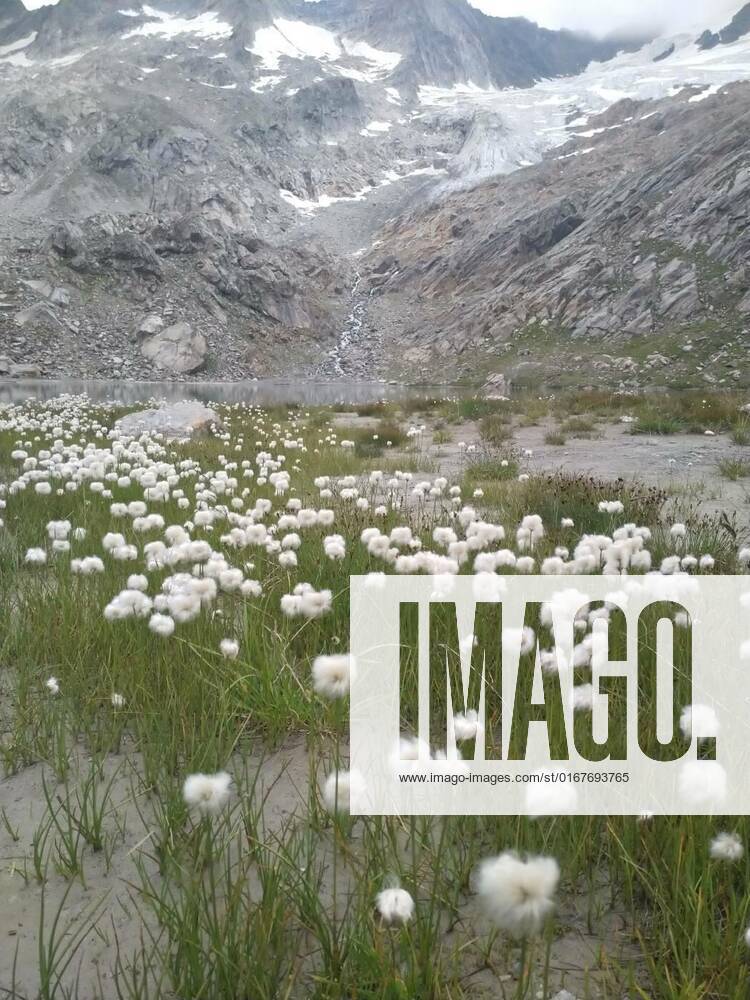 IMAGO Creative: Sommer, In den Bergen simonysee, simonysee, simonysee, 13.12.2021,