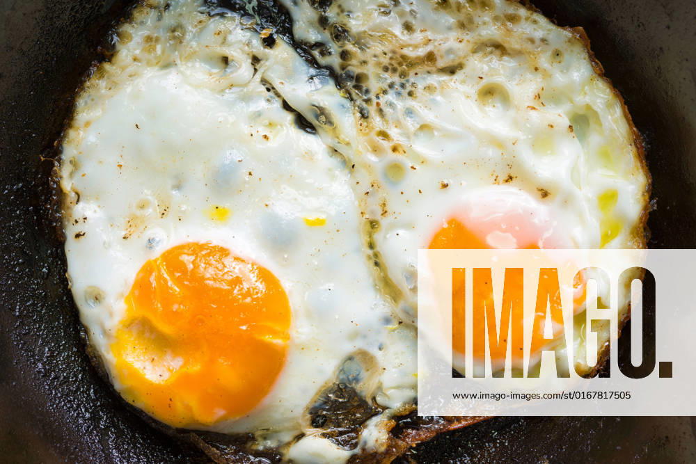 Fried egg,fried eggs mpd-l03